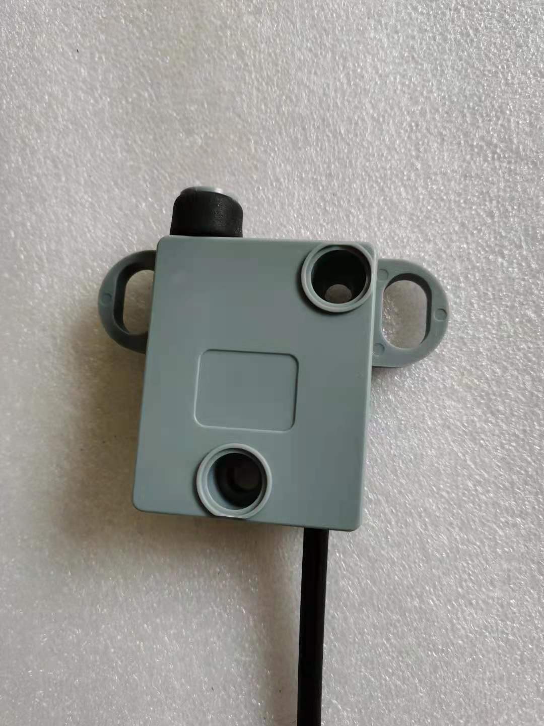 Micro Switch